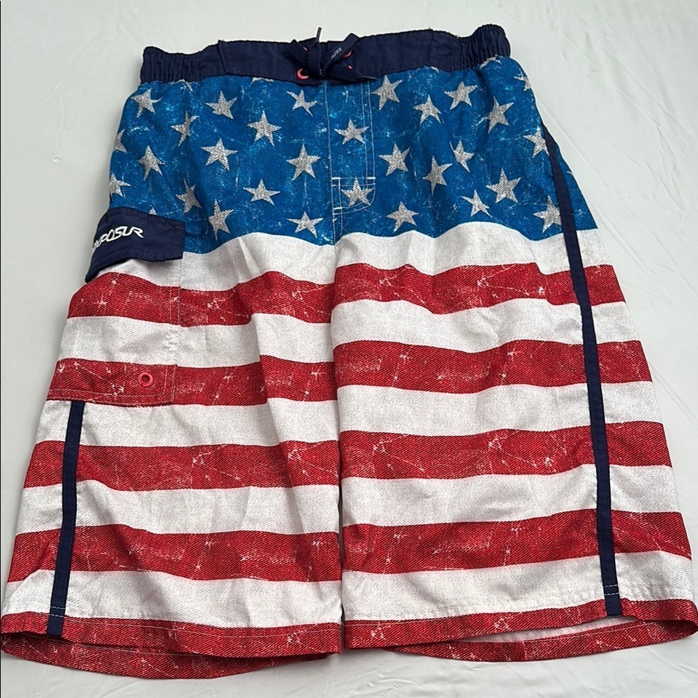 ZeroXposur American flag red white and blue lined swim trunks